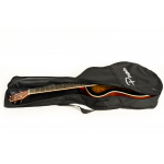 Guitarra Elelctroacústica Parquer Corte Sunburst Mini Jumbo - Imagen 6