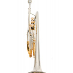 Trompeta Parquer en Do Plateada Dorada Estuche Envio Gratis - Imagen 3