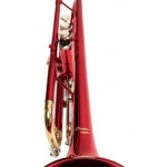 Trompeta Custom con Estuche Ptrc - Imagen 2