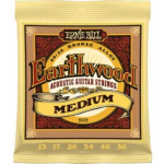 Encordado Ernie Ball 013 Guitarra Acustica Earthwood