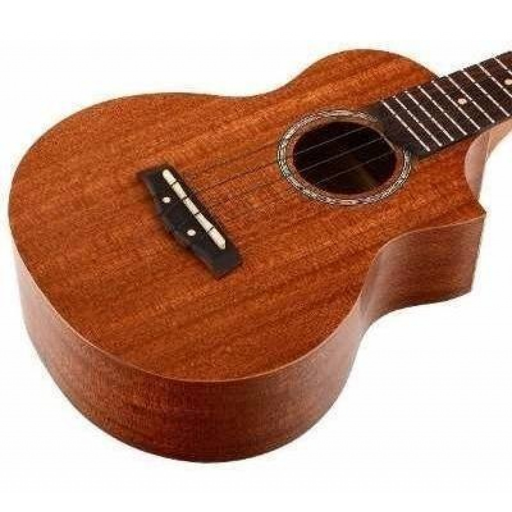 Ukelele Concierto Ibanez Uew5opn con Corte Music Shaker