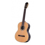 Guitarra Clasica Criolla Segovia Medio Concierto E190n