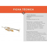 Trompeta Parquer en Do Plateada Dorada Estuche Envio Gratis - Imagen 2
