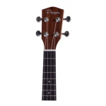 Ukelele Concierto Parquer Tapa Caoba Maciza con Funda Uk250 - Imagen 4
