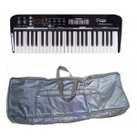 Controlador Midi Parquer 49 Teclas 4 Octavas Funda