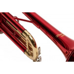 Trompeta Custom con Estuche Ptrc - Imagen 3