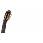 Guitarra Segovia E170CN Pala