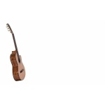 Guitarra Segovia E170CN Frente