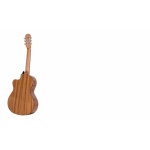 Guitarra Segovia E170CN Back