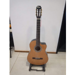 Guitarra Electrocriolla Parquer Outlet Master 30% Off - Imagen 5