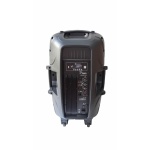 Bafle Potenciado 15 Parquer Blue Tws Rms 150w - Imagen 3