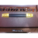 Ross A25c Amplificador Multi Uso Guitarra Voz 25 Watts - Imagen 2