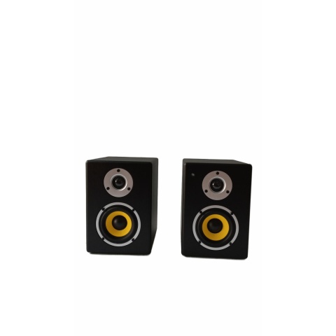 Monitores Parquer BX4A Front