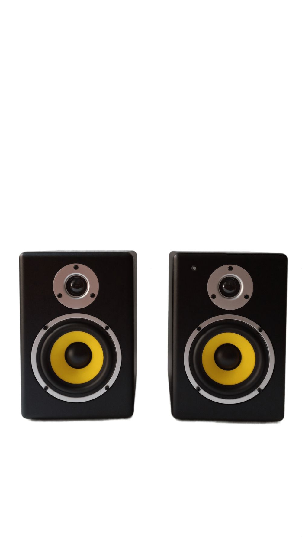 Monitores Parquer BX5A Front