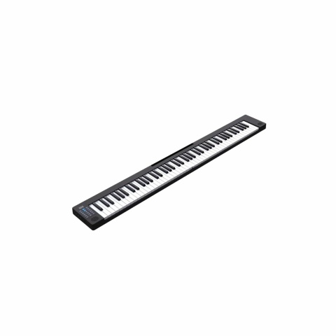 Teclado Digital Parquer 88 Teclas 7/8 Senstivo Portatil - Imagen 2