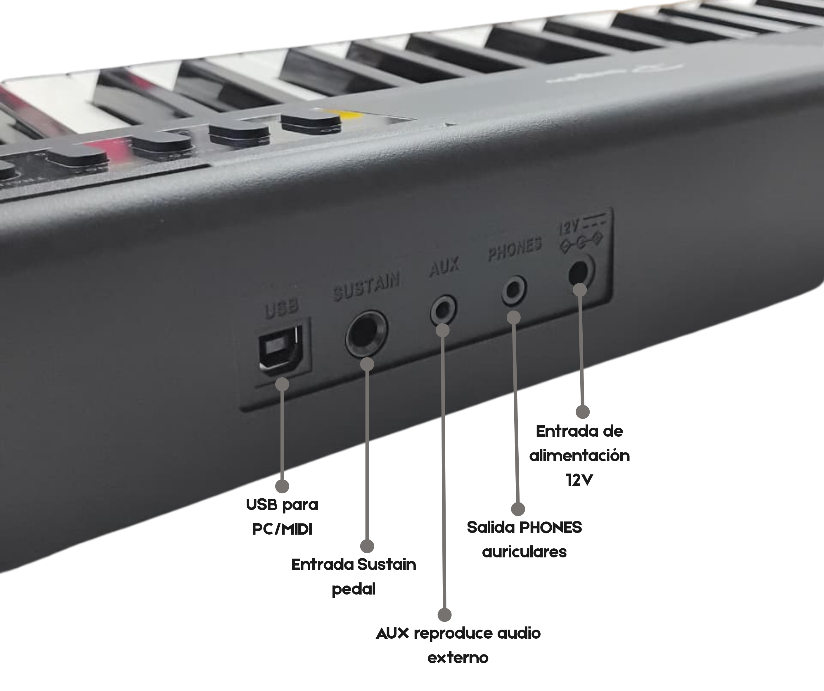 Piano Digital Parquer 88 Teclas Sensitivo 7/8 Octavas Negro - Imagen 3