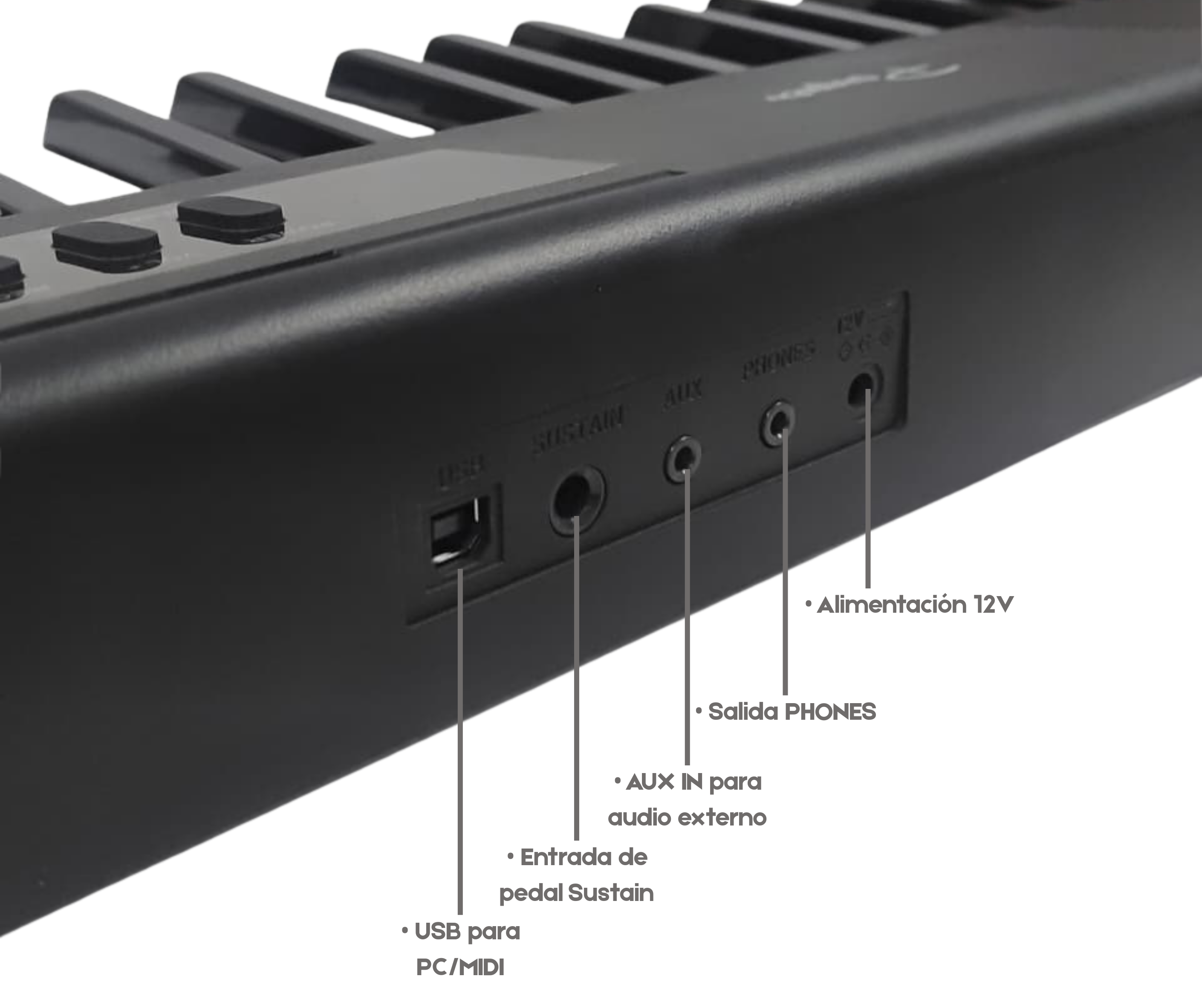 Piano Digital Parquer 88 Teclas Portable Negro 7 Octavas Con Fuente - Imagen 3