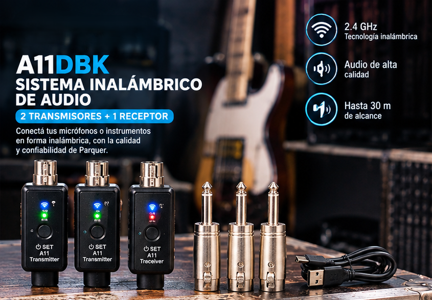 Kit Conversor De 2 Micrófonos Inalámbricos Parquer Xlr Plug - Imagen 2